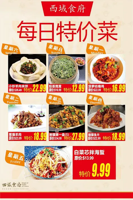 Magical Taste of China.Halal.Downtown/西域食府.唐人街 9