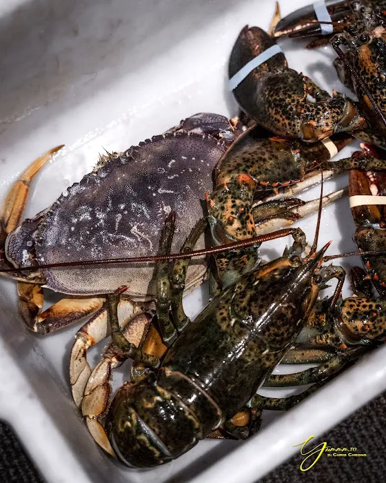Fishman Lobster Clubhouse Restaurant 4