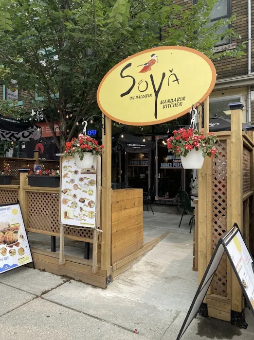 Soya Mandarin Kitchen 9