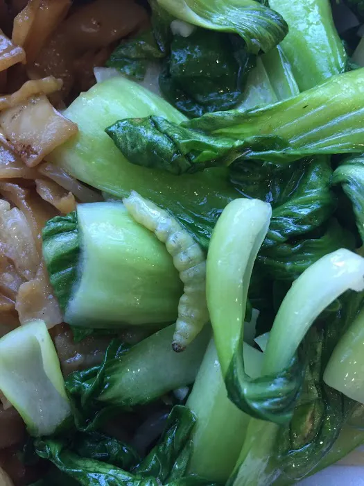 Asian Gourmet 4