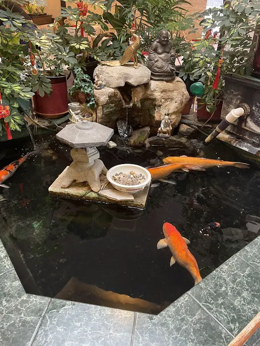 Paul Wong Fine Chinese Cuisine 5