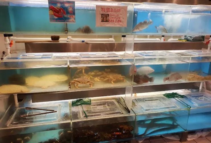 Jumbo Seafood 0