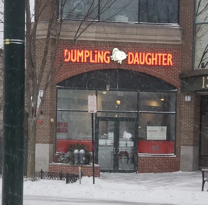 Dumpling Daughter Brookline 8