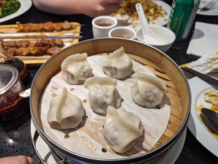 Xin Jiang Restaurant/Halal西域食府.清真 5