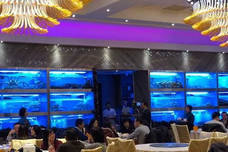 Skyview Fusion Cuisine 1