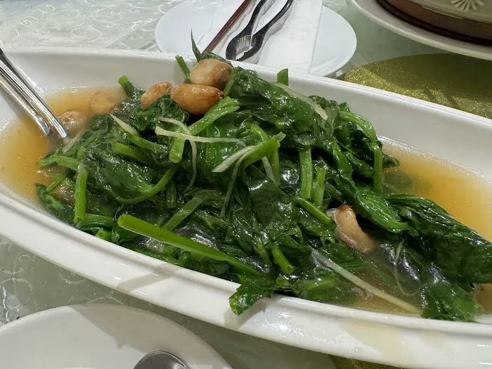 Starchiva Cuisine 2