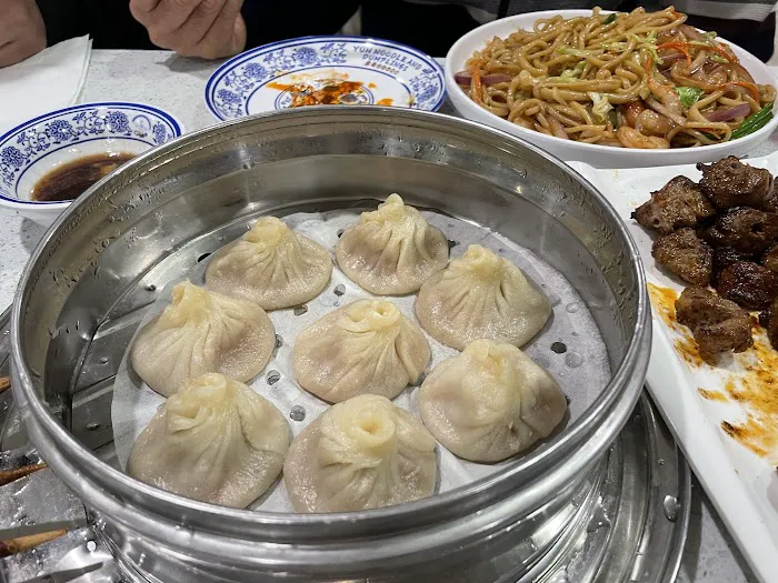 Yun Noodle and Dumplings 10