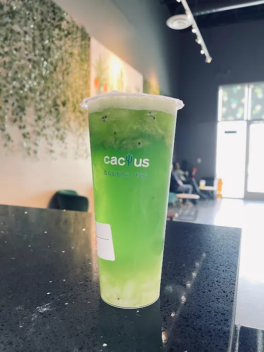 Cactus Bubble Tea 4