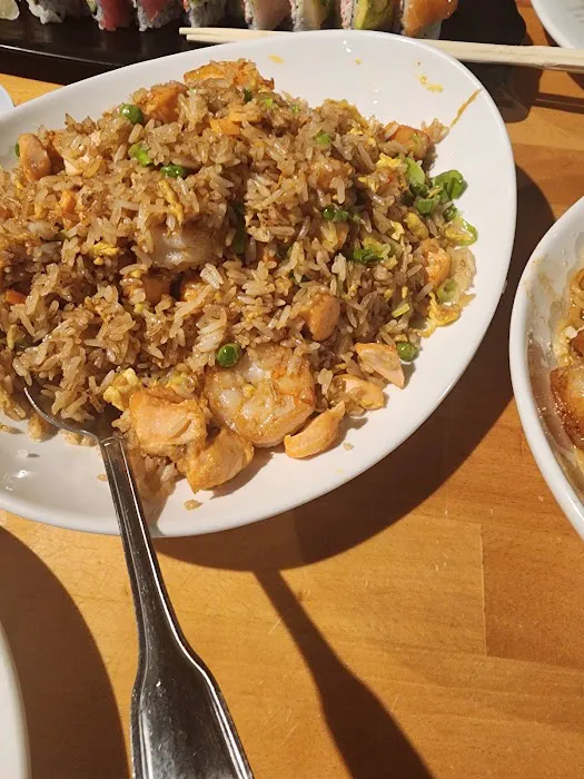 Wokcano 2