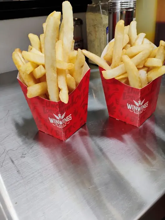 Win Wings 4