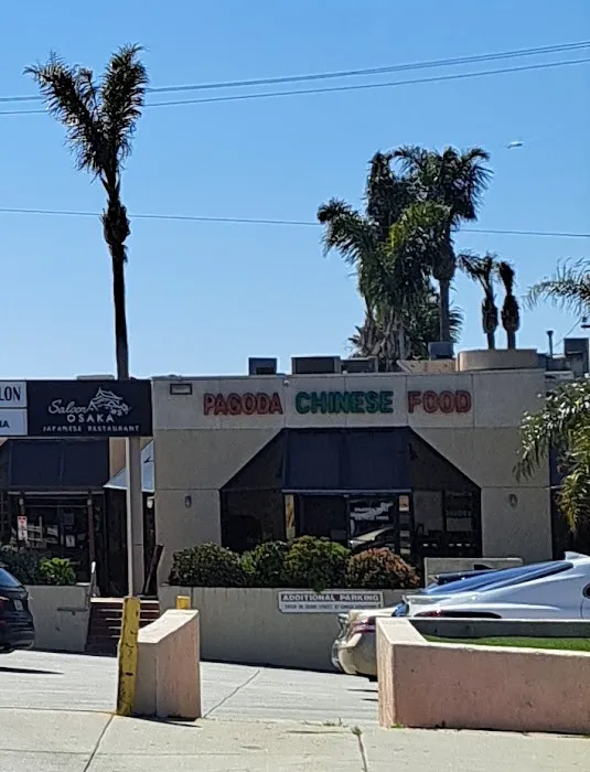 Pagoda Chinese & Thai Food 10