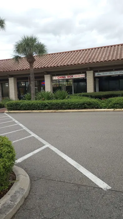 China Wok 1