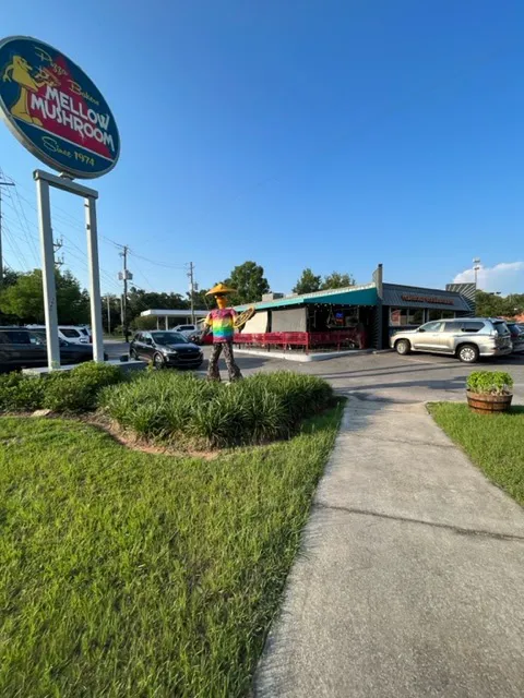 Mellow Mushroom Mobile 2