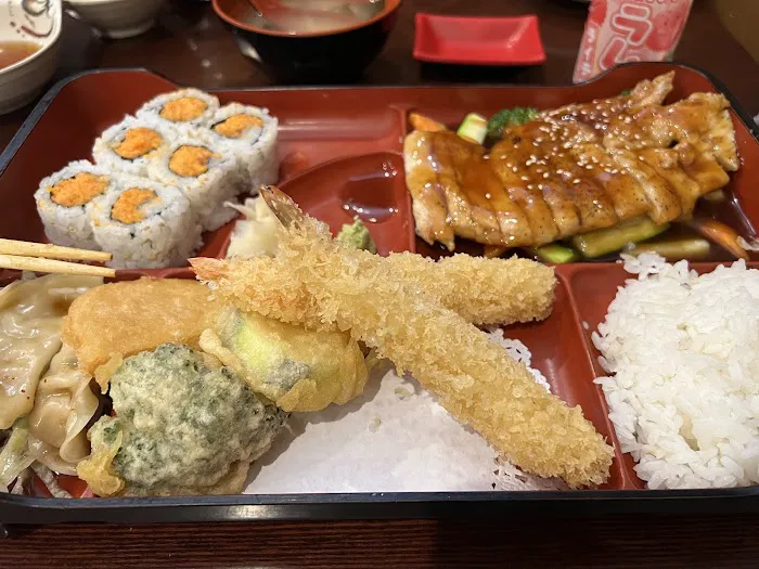 Akita 6