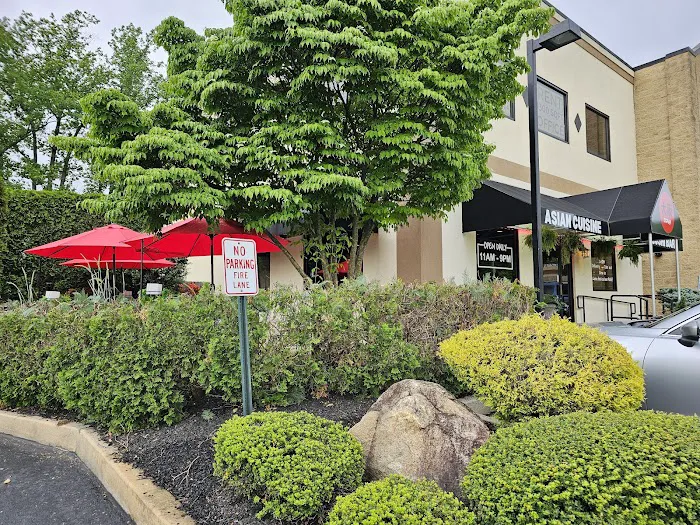 Osaka Downingtown Pa 2