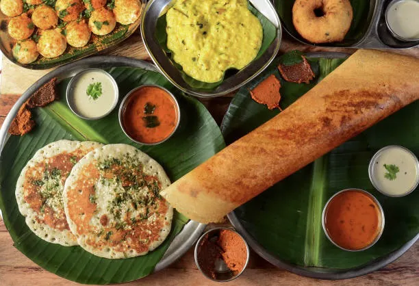Masala Leaf Indian Cuisine 2