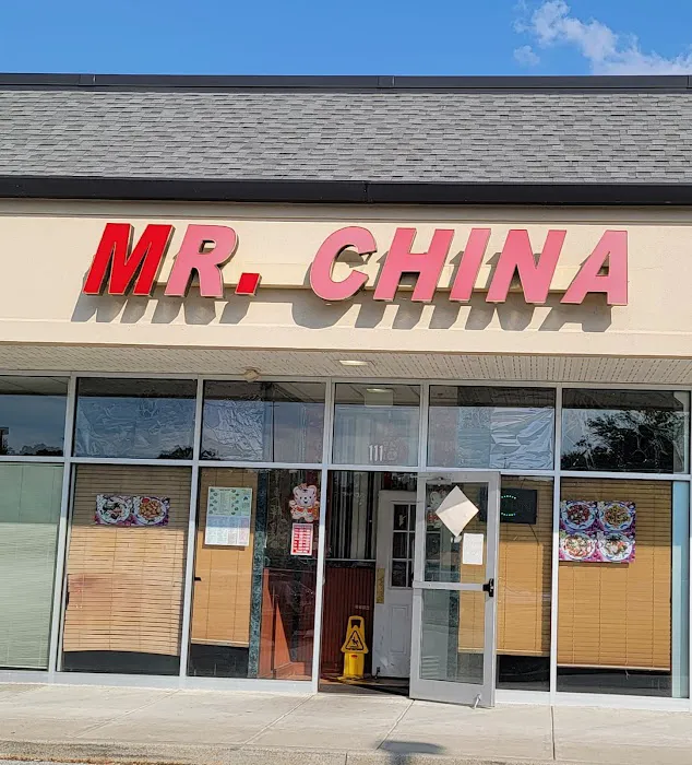 Mr China 3