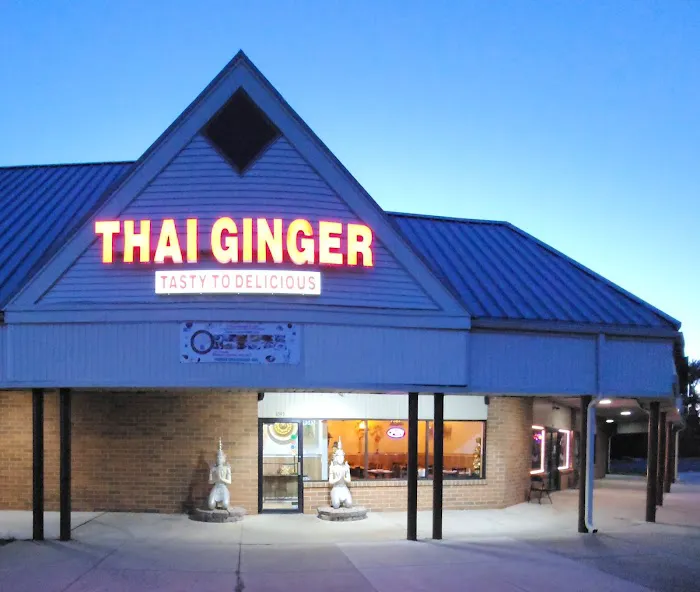 Thai Ginger 8