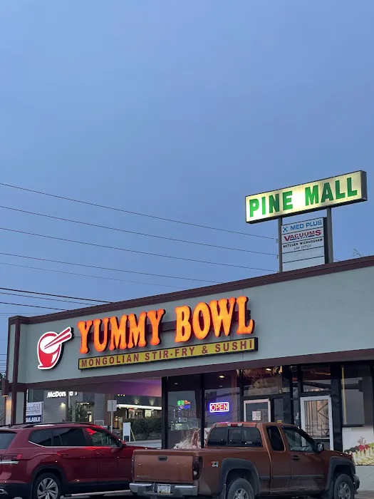 Yummy Bowl 5