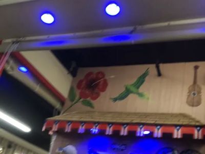 Boricua Como El Coqui 0