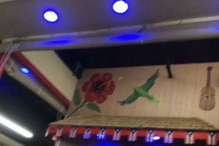 Boricua Como El Coqui