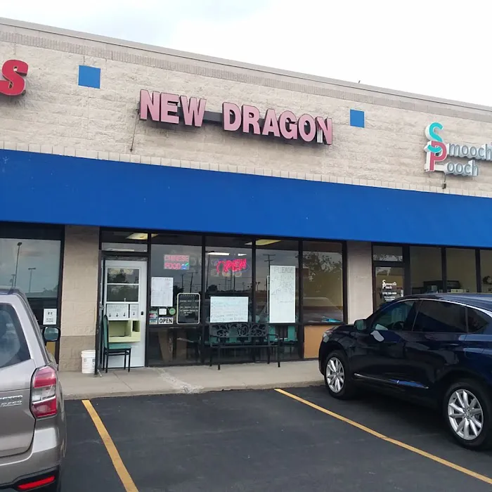 New Dragon 3