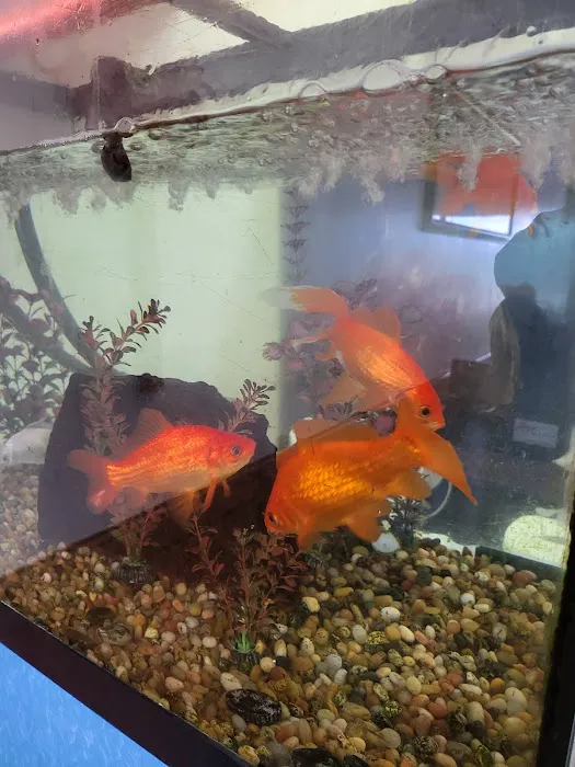 New China Restaurant 6
