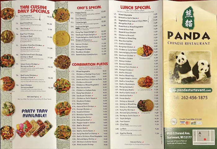 Panda Chinese 9