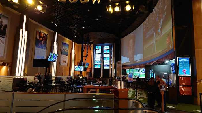 Hollywood Casino & Hotel Joliet 10