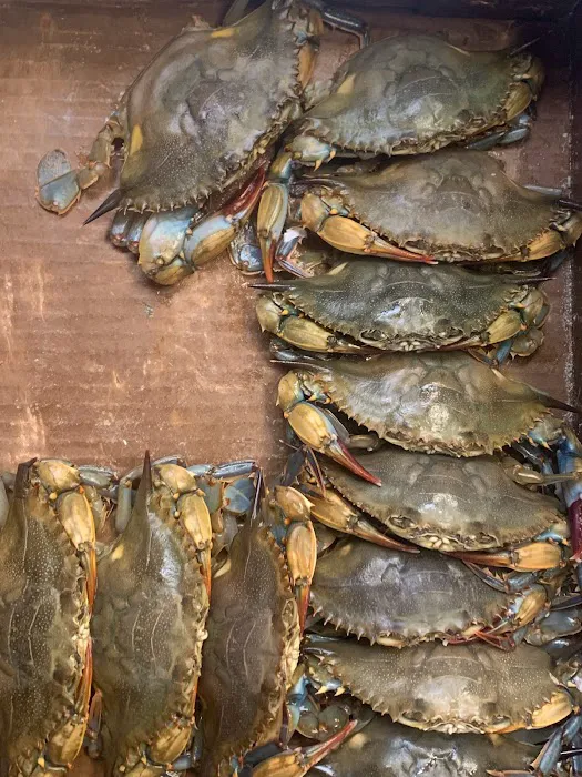 Monte's Fish Fry & Seafood Market 8