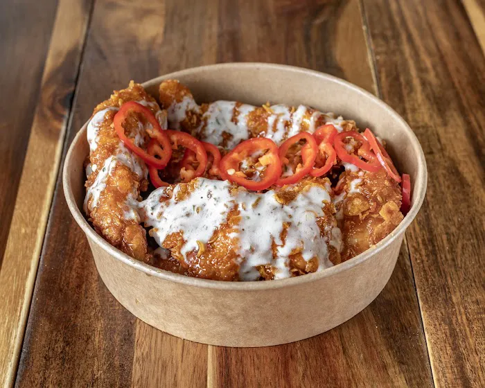 BOLO 8