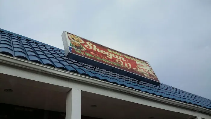 Shogun Wok 5