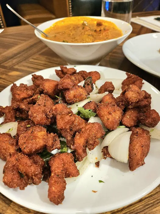 House of Biryanis and Kebabs Lawrenceville, NJ 3