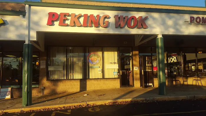 Peking Wok 5