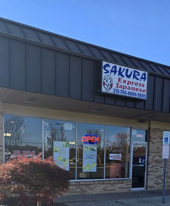 Sakura Express 10