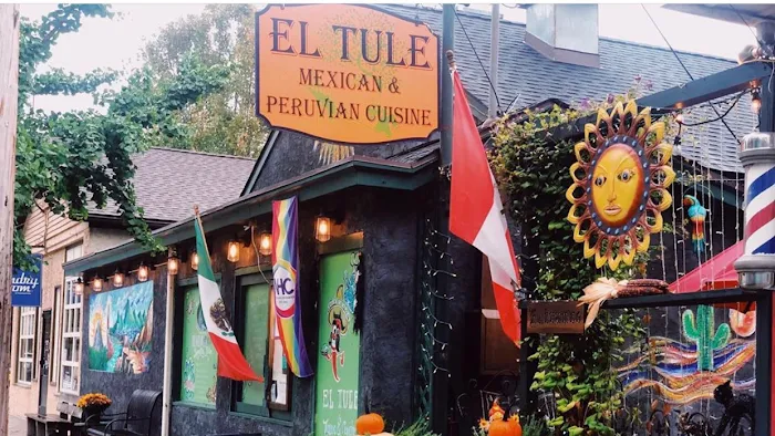 El Tule 9