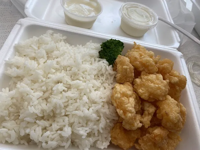 Osaka Japanese Cafe 9