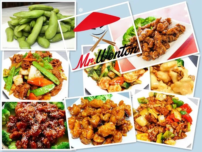 Mr.Wonton 8