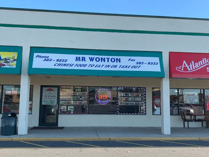 Mr.Wonton 7