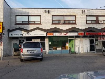 Far East Chinese Food 0
