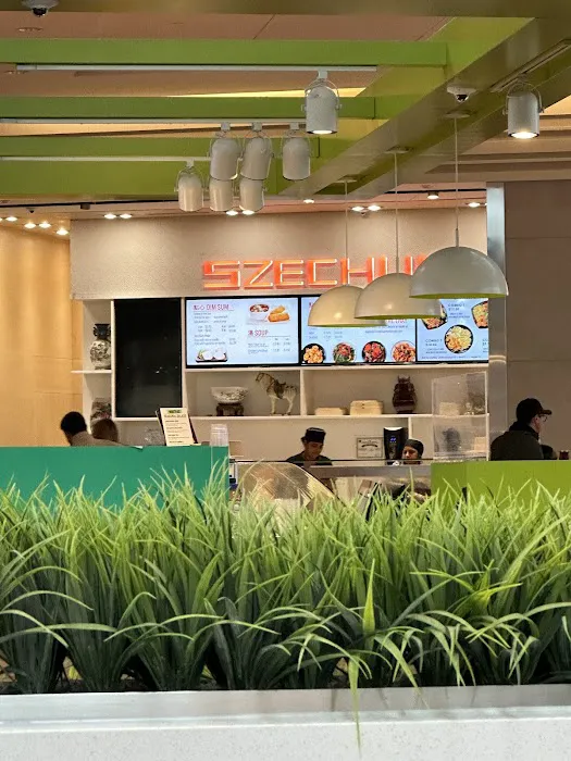 Szechuan Express 4