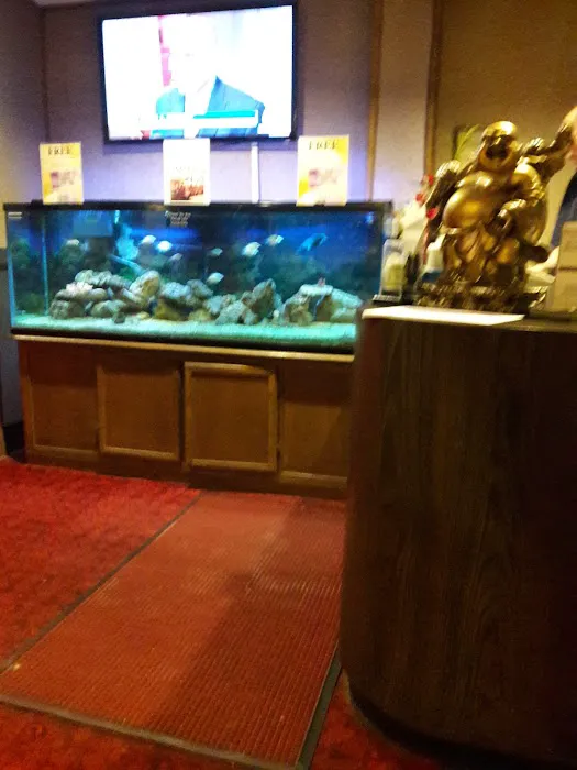 China Star Palace 4