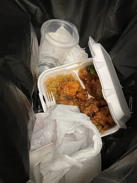 Dynasty Chinese Food Detroit 3