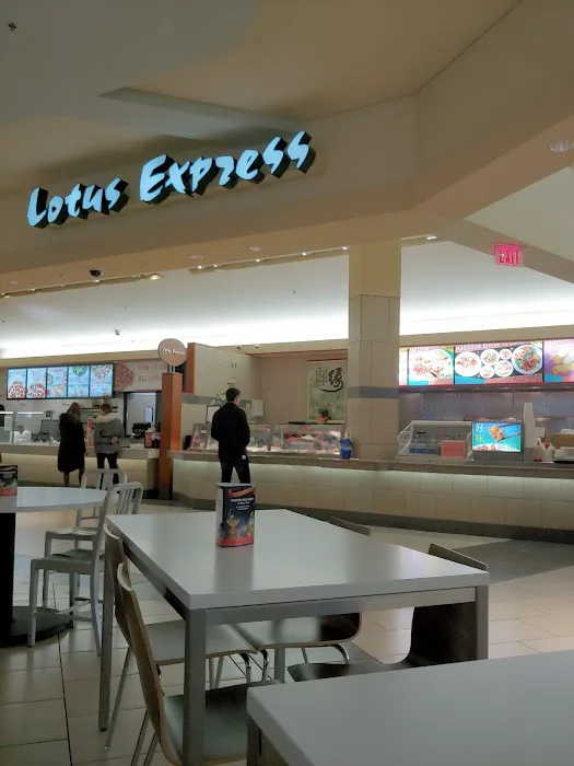 Yeung's Lotus Express 3