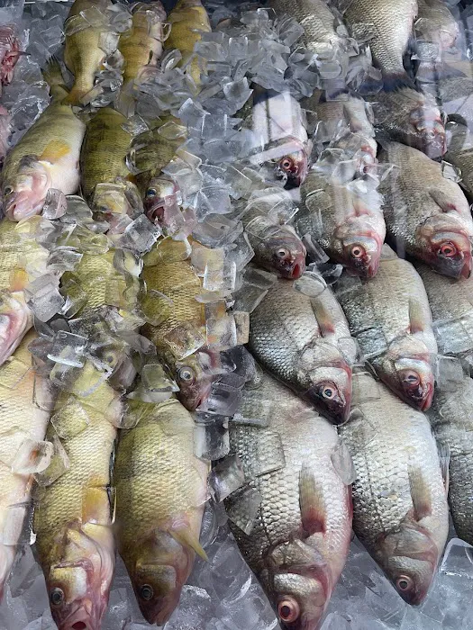 All Fresh Fish & Seafood 3