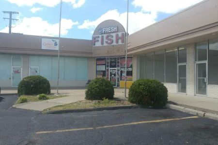All Fresh Fish & Seafood