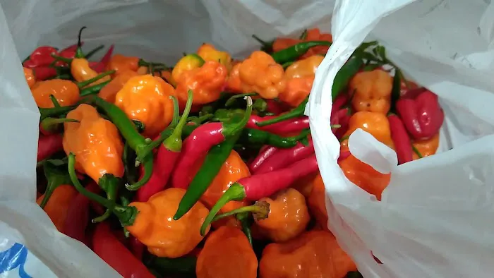 Yum's Carry Out 2