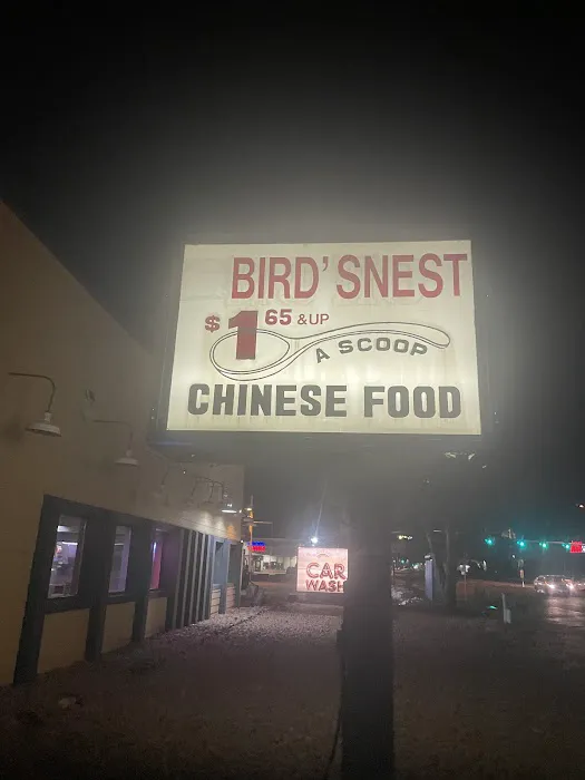 Birds Nest 8