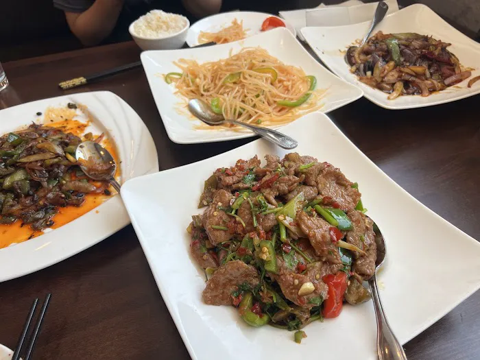 Wok Spicy 川天地 10