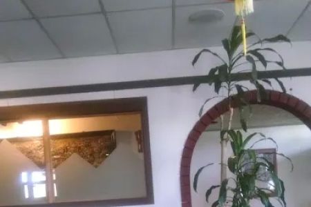 Golden Taipei Chinese Restaurant